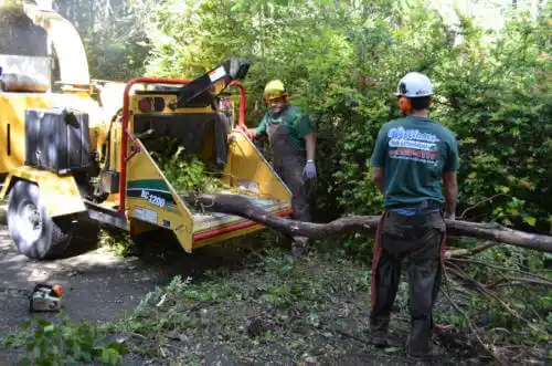 tree services Rolling Meadows